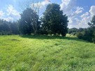 Przezmark – 1,56 ha pod siedlisko lub inwestycję - 4