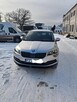 Skoda karoq pierwszy właściciel - 1