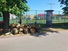Wycinka drzew i krzewów, karczowanie i sprzątanie działek, - 3