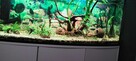 Sprzedam Akwarium 240l