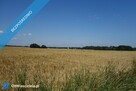 Skoczów Pruchna 1,15 ha z prawem zabudowy w samym centrum - 7
