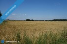 Skoczów Pruchna 1,15 ha z prawem zabudowy w samym centrum - 8