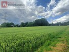 Działka rolna Kossowa gm. Brzeźnica - 4