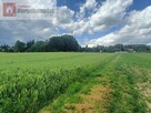 Działka rolna Kossowa gm. Brzeźnica - 5