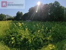 Działka siedliskowa Nowe Dwory gm. Brzeźnica - 5