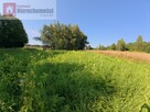 Działka siedliskowa Nowe Dwory gm. Brzeźnica - 6