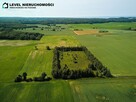 Działka siedliskowa w Pogrodziu - 4
