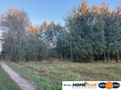Działka rolna 2ha 20 km od Warszawy blisko S8 - 3