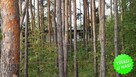 Działka leśna Kopana gm. Tarczyn - 4