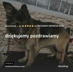 SPA dla psów / kotów - 5