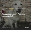 SPA dla psów / kotów - 3