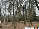 Atrakcyjna działka 2190 m², las i rzeka. - 2