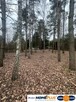 Atrakcyjna działka 2190 m², las i rzeka. - 4