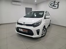 Kia Picanto 1.2/Bezwypadkowy/Serwisowany/Gwarancja roczna w cenie - 1
