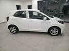 Kia Picanto 1.2/Bezwypadkowy/Serwisowany/Gwarancja roczna w cenie - 9