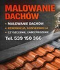 Remonty Naprawy Dachów Kominy Rynny Papowanie Lepikowanie - 5