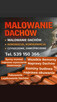 Remonty Naprawy Dachów Kominy Rynny Papowanie Lepikowanie - 4