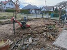 Wycinka drzew, frezowanie pni, karczowanie działek - 4