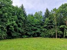 Działka leśna Sitnica gm. Biecz - 2