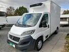 Fiat Ducato Chłodnio-mroźnia z hakami do mięsa - 2
