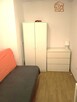 11 Listopada 97, 4 oddzielne pokoje, pet-friendly - 5
