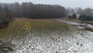 Działka siedliskowa Obiszów gm. Grębocice, - 2