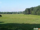 Działka rolna - 4