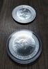 Srebrna moneta Australijski Kangur 1 oz tuba 25 sztuk - 7