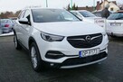 Opel Grandland X polski salon , atrakcyjny przebieg, I rej. marzec 2018 r. - 3