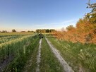 Działka rolna Dąbrowa gm. Sianów - 4