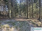 Działka inwestycyjna Odrzykoń gm. Wojaszówka, Leśna - 3
