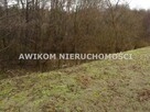 Działka rolna Skierniewice - 8