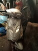 Sprzedam Skuter 50cm - 4