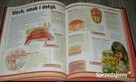 Ciało Człowieka-Zestaw-2 Książki - 8
