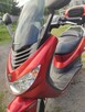 Sprzedam skutery Elystar Pegoty - 1