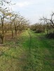 Sprzedam sad 1,8H Krępa/Tuliszków - 5
