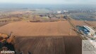 Smardzów 4,68 ha/Idealna pod magazyny i produkcję - 6