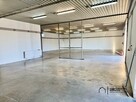 Hala 400 m² z biurem i showroomem | Wrocław - 6