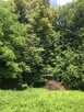 Działka budowlana z prywatnym lasem – 18 arów (okolice Krako - 9