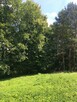 Działka budowlana z prywatnym lasem – 18 arów (okolice Krako - 11
