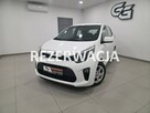 Kia Picanto 1.2/Bezwypadkowy/Serwisowany/Gwarancja roczna w cenie