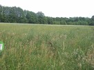 Działka Krzywośnity - 2