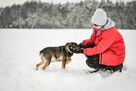 Bronek-młody pies po przejściach do adopcji - 7