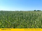 Działka z możliwością zabudowy mieszkalnej! - 4