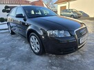 Audi A3 1,6Benzyna.Klimatronic 2 str.Tempomat.Alu.Hak.Serwis - 2