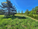 Działka inwestycyjna Przeginia Duchowna gm. Czernichów, - 4