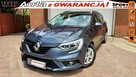 Renault Megane 1.3TCe Bussines GT Salon PL 100%Bezwypadkowy F.vat23%ASO, Tempomat, - 1