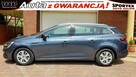 Renault Megane 1.3TCe Bussines GT Salon PL 100%Bezwypadkowy F.vat23%ASO, Tempomat, - 5