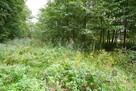 Działki otoczone lasem, powierzchnie od 1543 m2 - 2