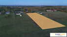 działka rolno budowlana 8700 m2 - Brudzów - 11